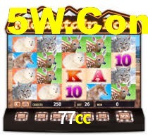 77cc,77cc.win